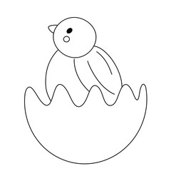 line Chicks hatch from eggs