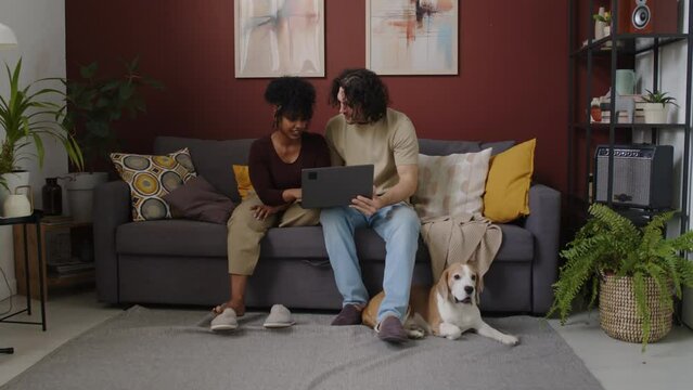 Long shot of young interracial couple with cute beagle dog sitting on grey couch in modern stylish apartment, browsing on laptop and deciding what movie to watch at daytime on weekendLong shot of youn