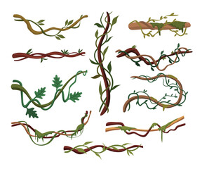 Tropical hanging vines, Liana or vine climbing winding branches cartoon vector illustration, wild rainforest vines branches with leaves © Yumagema