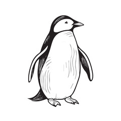 Penguin in cartoon, doodle style. Isolated 2d vector illustration in logo, icon, sketch style, Eps 10, black and white. AI Generative