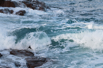 Fototapeta premium Vagues et écume sur la côte de granit rose en Bretagne - France