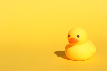 A yellow rubber duck stands on a yellow background.	