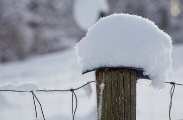 Schneekristalle auf Holzzaun - Close Up