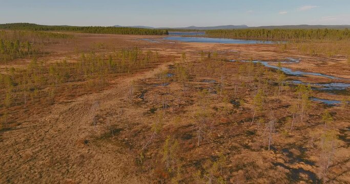 Aerial landscape view of swamp in cloudy spring weather, Sodankylä, Lapland, Finland.