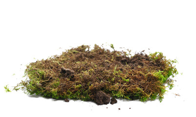 Dirt, roots and green moss isolated on white, side view