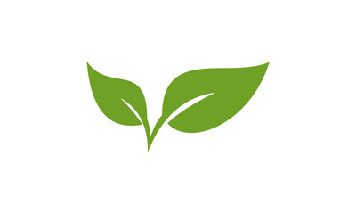 green plant isolated on white background