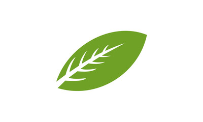 green leaf icon