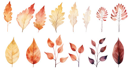 set of watercolor autumn leaves isolated on white background