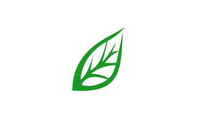 green leaf icon