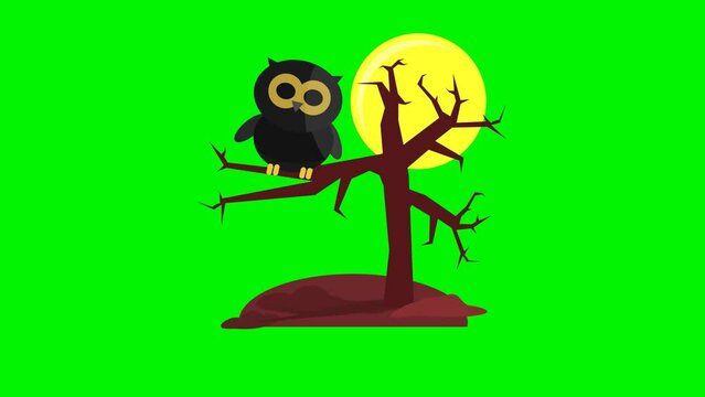 Lottie Halloween animation featuring the night owl Icon