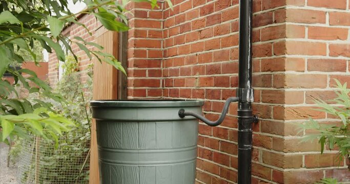 Roofline drainage pipe with a diverting device enabling rainwater storage into a barrel or garden water storage tank. Rainwater filling up a watering can for home garden irrigation. Harvesting water.