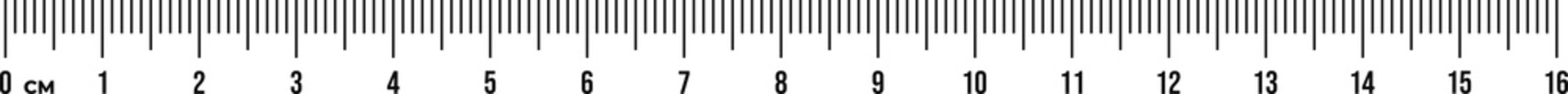 Ruler scale 16 cm. Centimeter scale for measuring