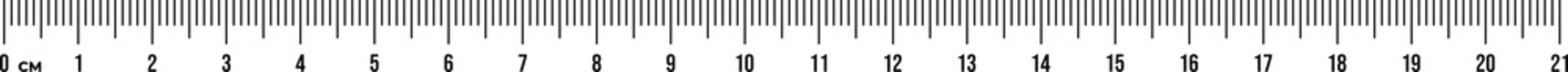 Ruler scale 21 cm. Centimeter scale for measuring