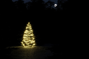 a brightly lit small Christmas tree in a dark forest with a bright moon shining above it - 3D Illustration