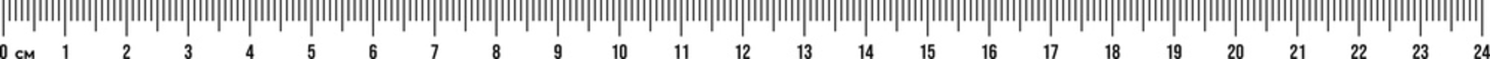 Ruler scale 24 cm. Centimeter scale for measuring