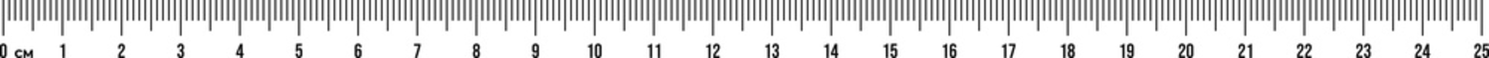 Ruler scale 25 cm. Centimeter scale for measuring