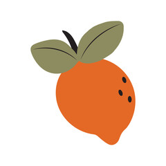Orange lemon. vector illustration 