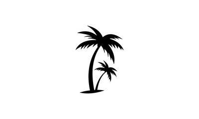 Fototapeta na wymiar palm tree silhouette