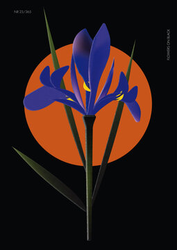 "Black Iris" Images – Browse 299 Stock Photos, Vectors, and Video