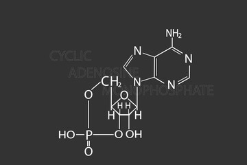 Cyclic adenosine monophosphate  molecular skeletal chemical formula