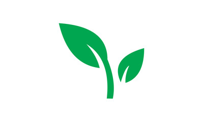 green leaf icon