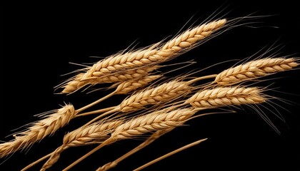ear of wheat - obrazy, fototapety, plakaty