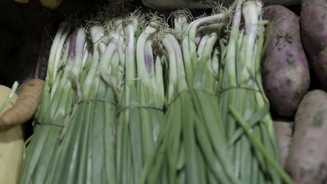 spring onions at vegetable store for sale at evening