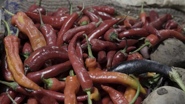 Giant red chilli pepper at vegetable store for sale at evening