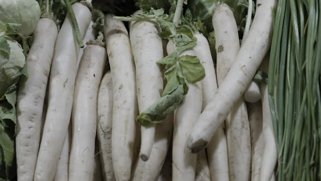 fresh white radish at vegetable store for sale at evening