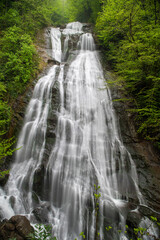 Obraz premium View of the waterfall through the green forest. Large waterfall flowing through dense green forest. Guzeldere Waterfall. 