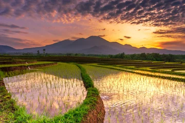 Zelfklevend Fotobehang Beautiful morning view indonesia Panorama Landscape paddy fields with beauty color and sky natural light © RahmadHimawan