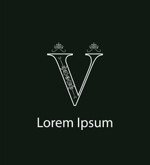 Modern V letter logo ,V Letter Initial Logo Design Template Vector Illustration