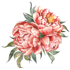Pink peony floral bouquet. Watercolor illustration isolated on white background.
