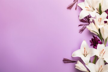 Sleek white lilies against a vibrant purple backdrop. Springtime simple composition. Blooming spring flowers. Perfect for invitations, background, or banner with free space for text