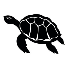 Turtle icon isolated on white background