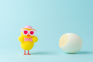 Chicken with white cracked egg on blue background. Easter minimal concept.