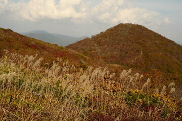 秋の山