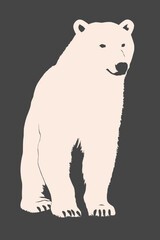 Polar Bear Poster Design