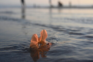 A closeup of an orange hibiscus blossom stuck in the tidal waters of a Bali, Indonesia beach