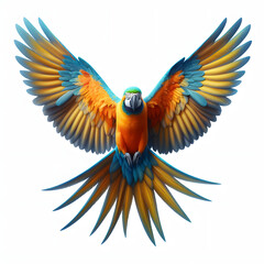 Fototapeta premium blue and yellow macaw, macaw parrot, blue and gold macaw, guacamaya azul, amarilla, dorada, Ara, ара, high quality portrait, isolated white background.