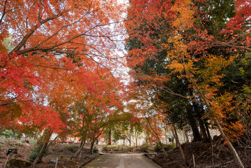 Naklejka premium The most beautiful viewpoint of daigoji is a popular tourist destination in Kyoto, Japan.