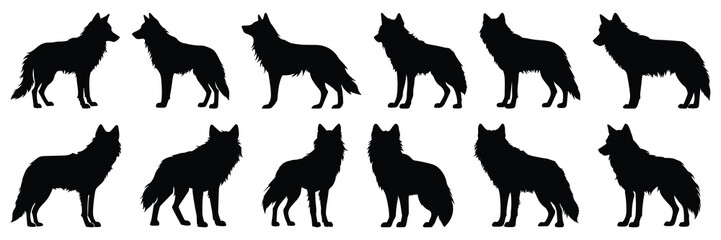 Wolf silhouettes set, large pack of vector silhouette design, isolated white background