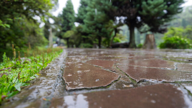 Lago Negro em dia de chuva na cidade de Gramado em Rio Grando do Sul - Brasil