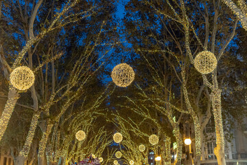 Christmas decorative lighting in Palma de Mallorca