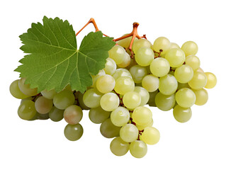 Obraz premium Fresh white grapes with a dynamic water splash on a white background