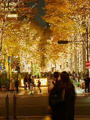 Obraz premium 冬の東京駅前の繁華街のイルミネーションの夜景と観光客の姿