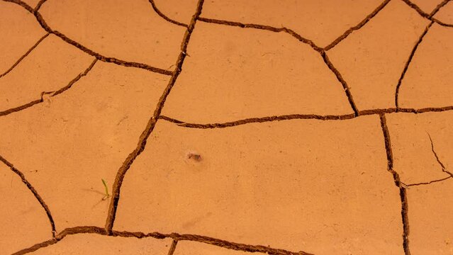Cracked Soil in a Desert Drying Out in Timelapse. Ground Draining, Cracked Earth, Global Warming While Climate Change and Drought