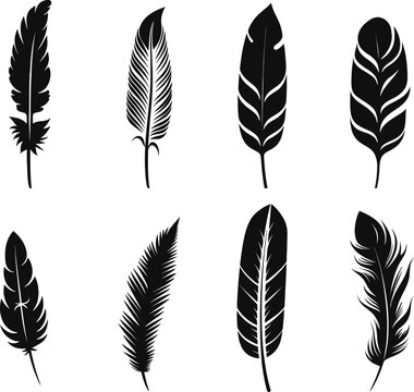 Vector group of black feather on white background. Easy editable layered vector illustration. AI generated illustration.