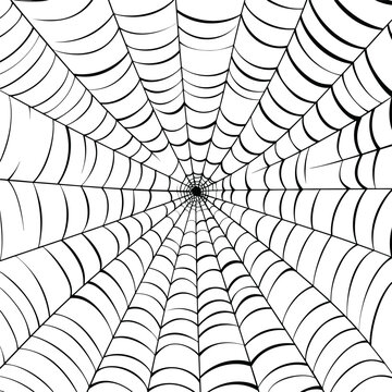 Vector outline illustration of a simple fancy Halloween spider web, isolated object on the white background, clipart useful for halloween party decoration, hand drawn image. AI generated illustration.