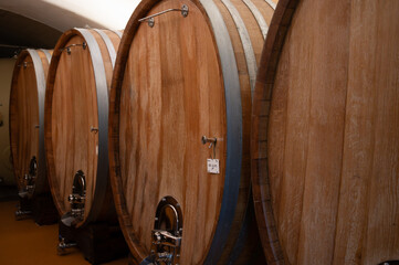 Wooden barrels. Production of cremant sparkling wine in south part of Luxembourg country on bank of Moezel, also known as Mosel, Moselle or Musel river.